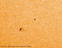 Clicca sull'immagine per ingrandirla.&nbsp;

Nome:   Senza titolo-2.jpg&nbsp;
Visite: 249&nbsp;
Dimensione: 70.1 KB&nbsp;
ID: 111123